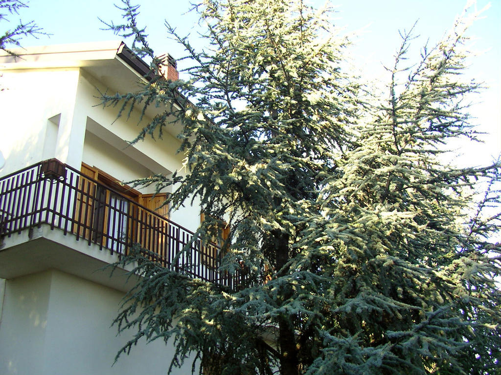 Villa Caterina B&B Педара Экстерьер фото