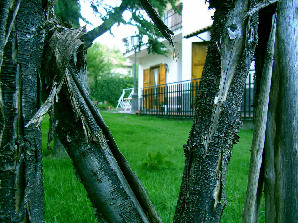 Villa Caterina B&B Педара Экстерьер фото
