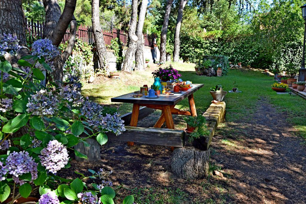 Villa Caterina B&B Педара Экстерьер фото